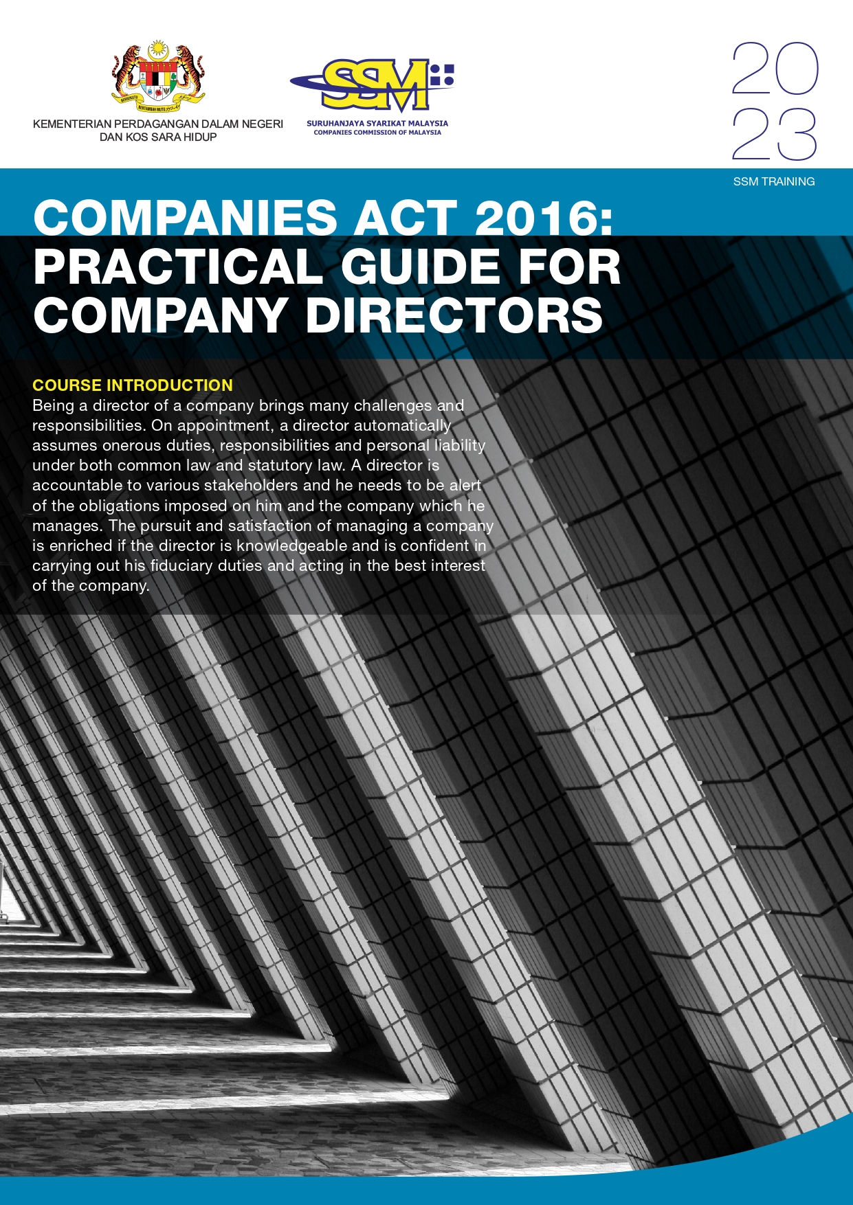 COMPANIES ACT 2016_PRACTICAL GUIDE FOR COMPANY DIRECTORS.jpg